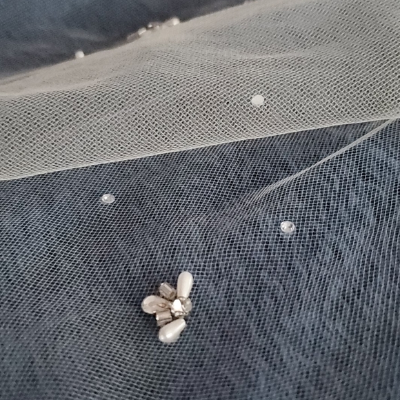 Veil - Picture 5 of 5